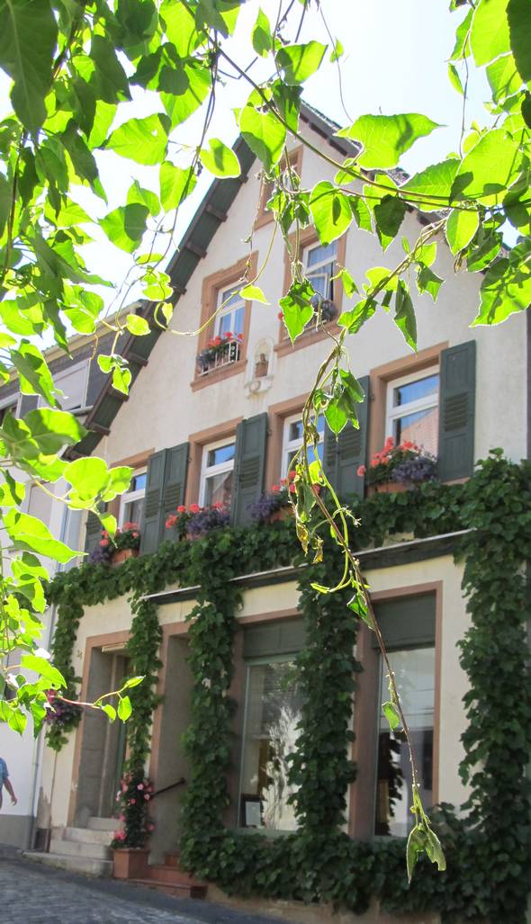 Typische Fassade eines Altstadthauses in Weinbauorten