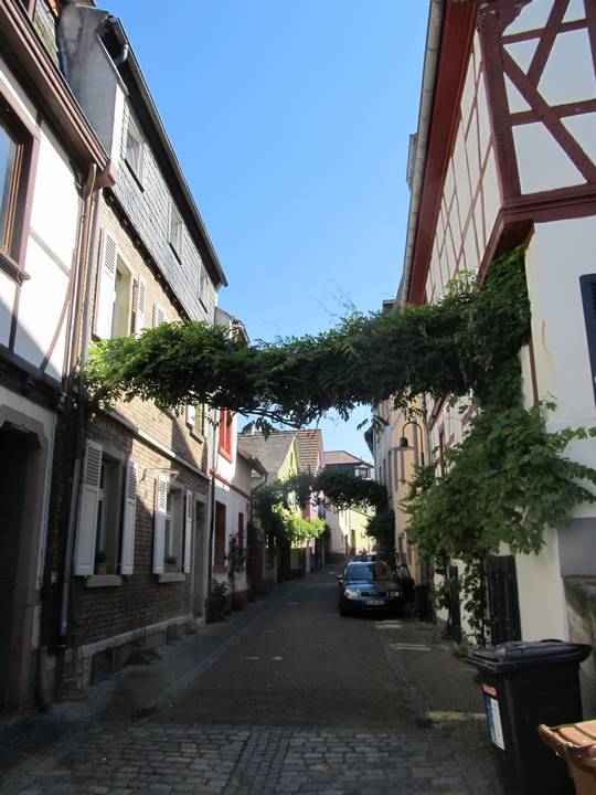 Oppenheimer Altstadtgasse