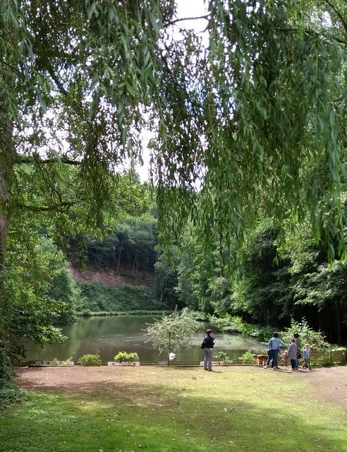 Fischteich an der Heidsmühle (Manderscheid)