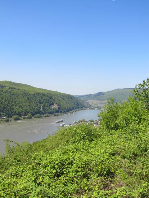 Historienweg Rüdesheim – Blick Rhein-abwärts auf Assmanshausen