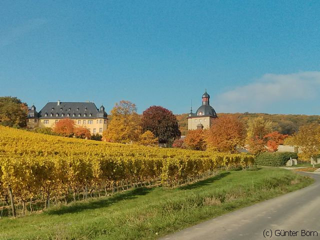 Schloss Vollrads