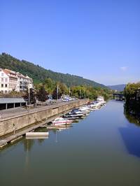 Tauber in Wertheim