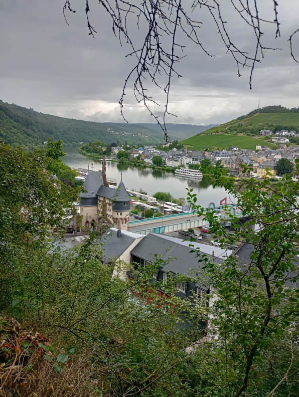 Blick auf Traben-Trarbach / Mosel