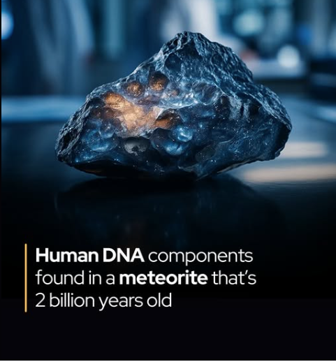 Asteroiden-Probe enthält menschliche DNA-Fragmente